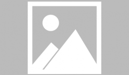 金星谈娱乐圈吃瓜,吃瓜群众的狂欢盛宴