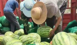 金乡吃瓜网51爆料金乡,揭秘金乡热点事件背后的真相！