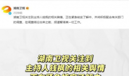 娱乐圈吃瓜爆料文案模板,当红明星背后的惊人真相，你绝对想不到！